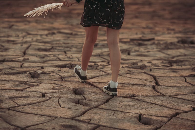 Urban Mindfulness Strolls
