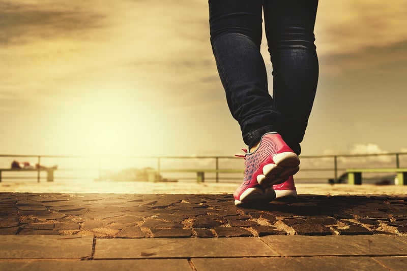 Mindful Walks